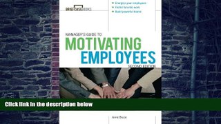 Big Deals  Manager s Guide to Motivating Employees 2/E (Briefcase Books Series)  Free Full Read