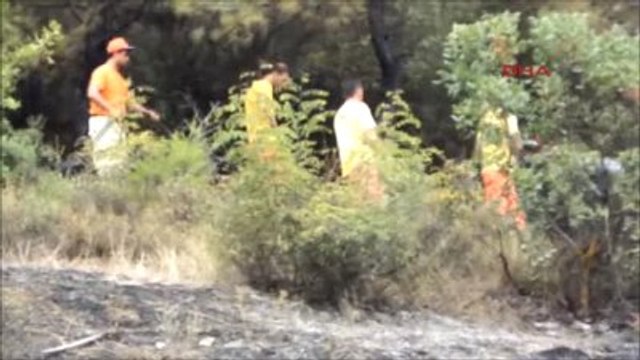 Sakarya Pamukova? da Orman Yangını; 1 Ölü-2