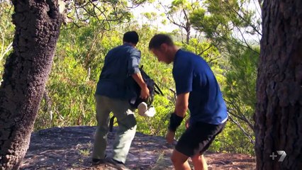 Home and Away 6491 29th August 2016