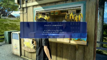 Final Fantasy XV - Chocobo Race (PS4Xbox One)