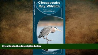 FREE DOWNLOAD  Chesapeake Bay Wildlife (Pocket Naturalist Guide Series)  BOOK ONLINE