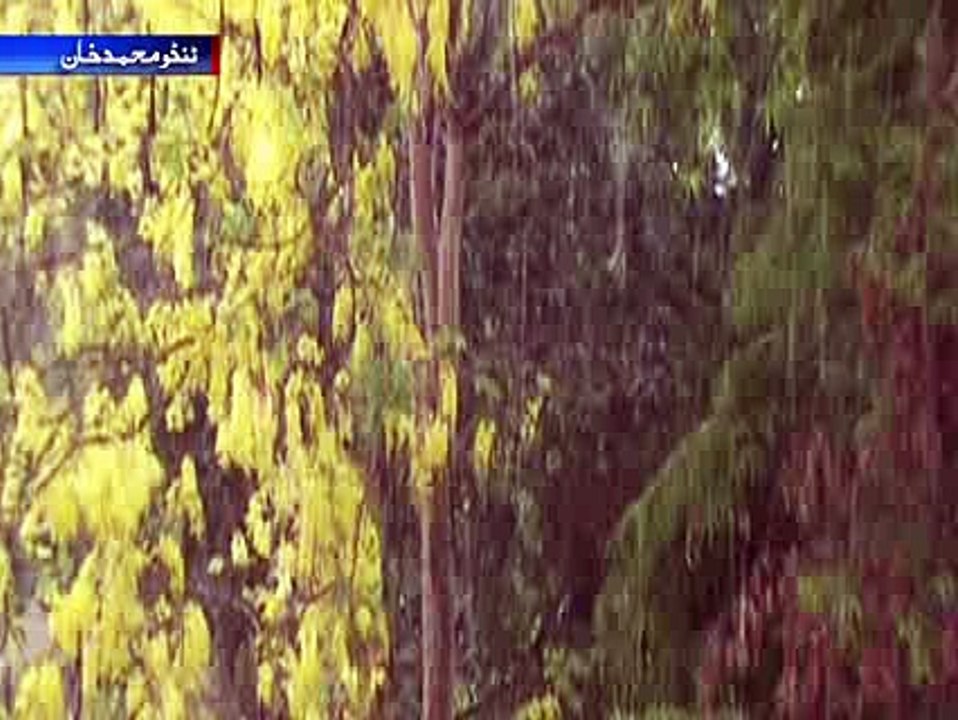 Tando Mohammad Khan Rain