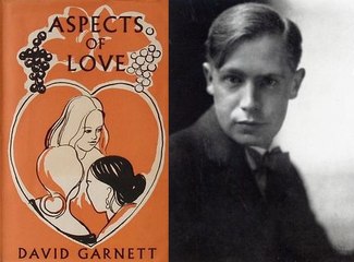 All Time Best Romantic Novels 37 Aspects of Love