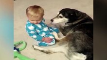 Ce bébé veut jouer avec son chien, mais le sommeil lui tient tête !