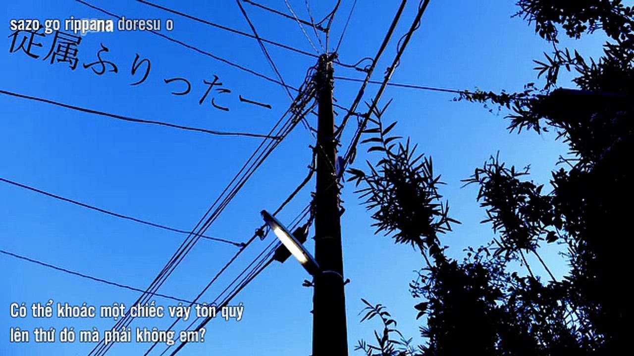 【りぶ ft. KK】従属ふりったー/Juzoku Furittaa 【Vietsub】