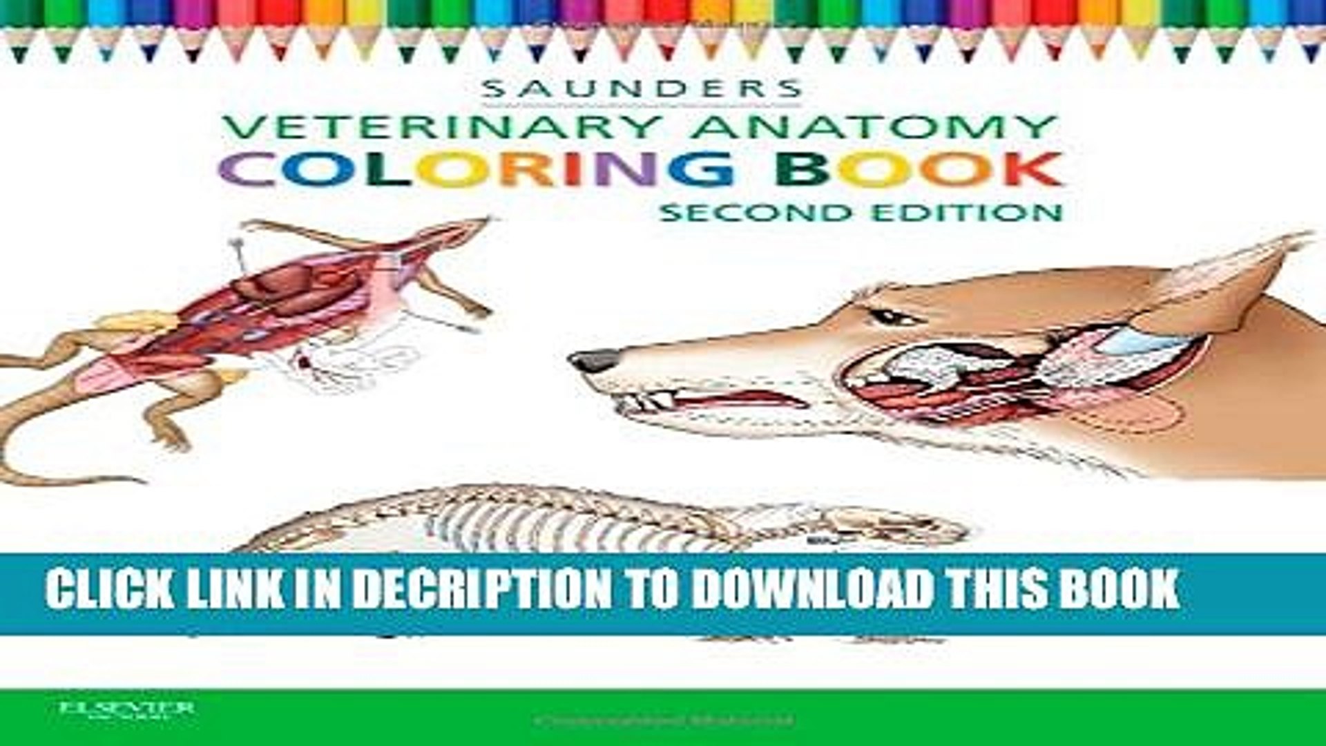 ⁣[PDF] Veterinary Anatomy Coloring Book Full Colection
