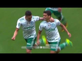 Brasileirão 2016 - Fluminense 0 x 2 Palmeiras