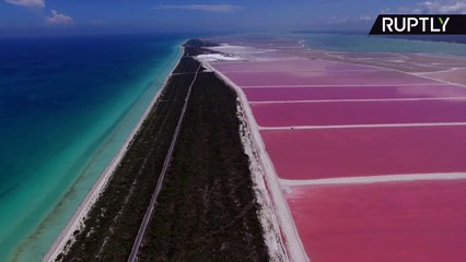 Mexique : Le lagon rose de Las Coloradas vu du ciel