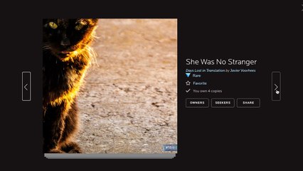 NeonMob - Days Lost in Translation (Complete Set)