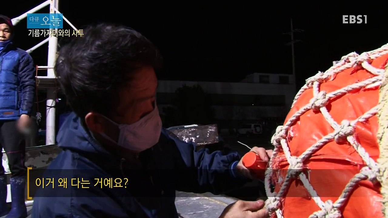 오늘