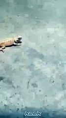 اي وربك حط رجلك الموت آحمر والحياة حلوه هههه