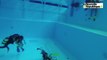 Vidéo (41) : le fond de la piscine de Blois comme si vous y étiez avec le club d'activités subaquatiques