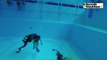 Vidéo (41) : le fond de la piscine de Blois comme si vous y étiez avec le club d'activités subaquatiques