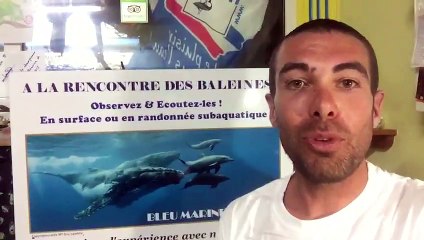 #BaleineLaRéunion : nous présentons la Charte d'approche aux touristes - LTOM