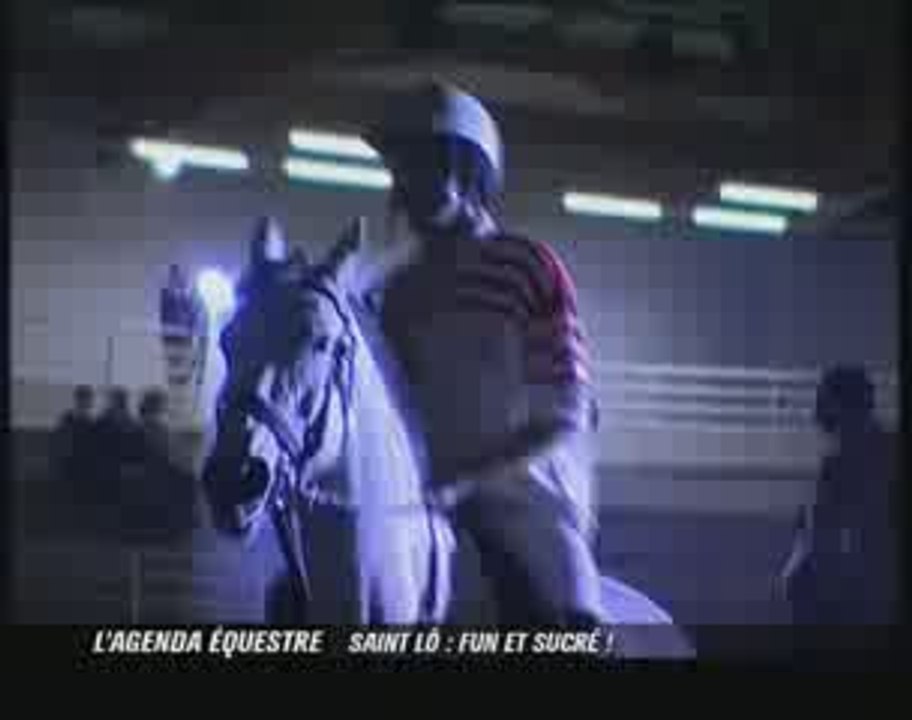 Le Horseball "Fun et Sucré"