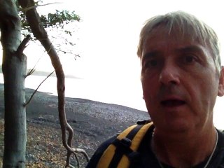 #BaleineLaRéunion : observer ne veut pas dire perturber - LTOM