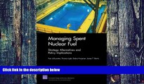 Big Deals  Managing Spent Nuclear Fuel: Strategy Alternatives and Policy Implications  Best Seller