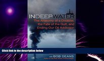 Must Have PDF  In Deep Water: The Anatomy of a Disaster, the Fate of the Gulf, and Ending Our Oil