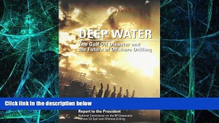 Big Deals  Deep Water: The Gulf Oil Disaster and the Future of Offshore Drilling: Report to the