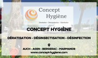 Entreprise désinsectisation - Stop aux nuisibles à Auch, Estillac, Bouglon - Concept Hygiène