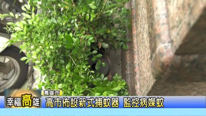 20160803-高雄登革熱防治