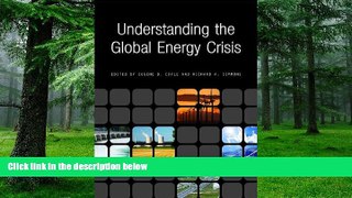 Big Deals  Understanding the Global Energy Crisis (Purdue Studies in Public Policy)  Best Seller