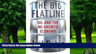 Big Deals  The Big Flatline: Oil and the No-Growth Economy  Best Seller Books Most Wanted