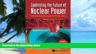 Must Have PDF  Contesting the Future of Nuclear Power: A Critical Global Assessment of Atomic