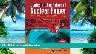 Big Deals  Contesting the Future of Nuclear Power: A Critical Global Assessment of Atomic Energy