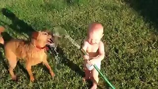 dog vs child