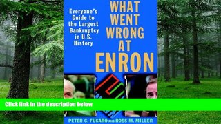 Big Deals  What Went Wrong at Enron: Everyone s Guide to the Largest Bankruptcy in U.S. ...  Best