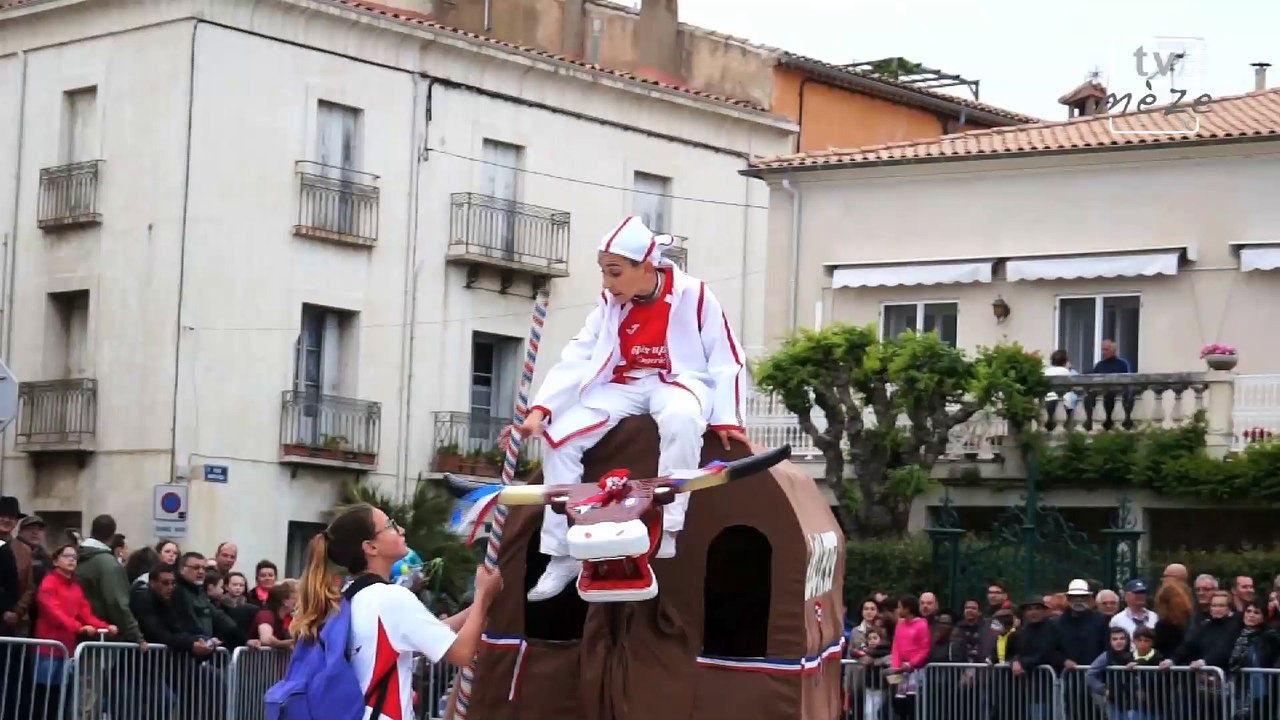 Corso fleuri de Mèze 2016 - Le petit Boeuf "Lou Petet"