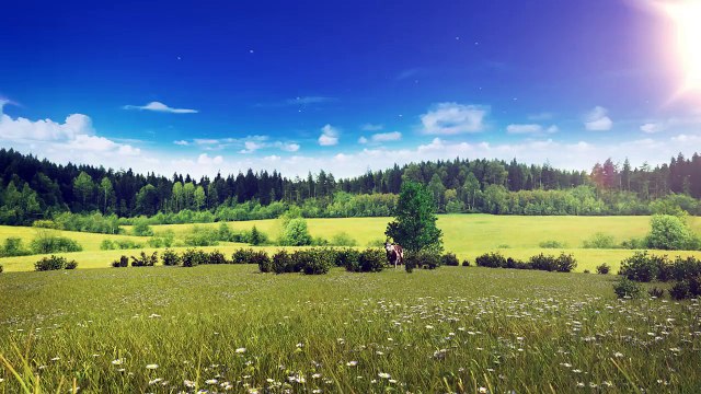 Découvrez l'écran publicitaire contextualisé que M6 diffusera ce soir - Regardez