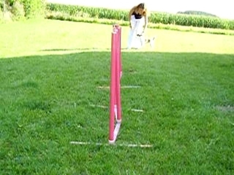 Slalom maison à ma droite 1er Aout 07