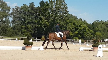Benito de la Gesse - PAU SERS TOUR 2016