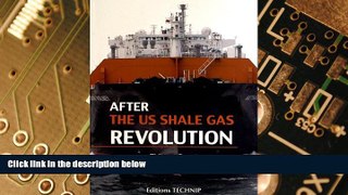 Big Deals  After the US Shale Gas Revolution  Best Seller Books Best Seller