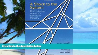 Big Deals  A Shock to the System: Restructuring America s Electricity Industry (Resources for the