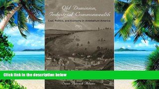 Big Deals  Old Dominion, Industrial Commonwealth: Coal, Politics, and Economy in Antebellum