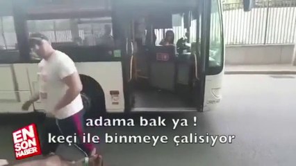 Fetoş isimli keçisi ile Pariste gezintiye çıkan Türk