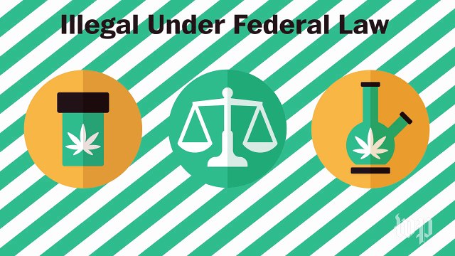 How marijuana legalization is working out so far