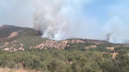 Tunceli'de Örtü Yangını