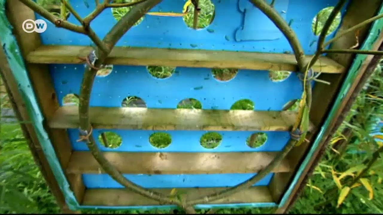 Diseño y naturaleza: campos de muebles | Euromaxx