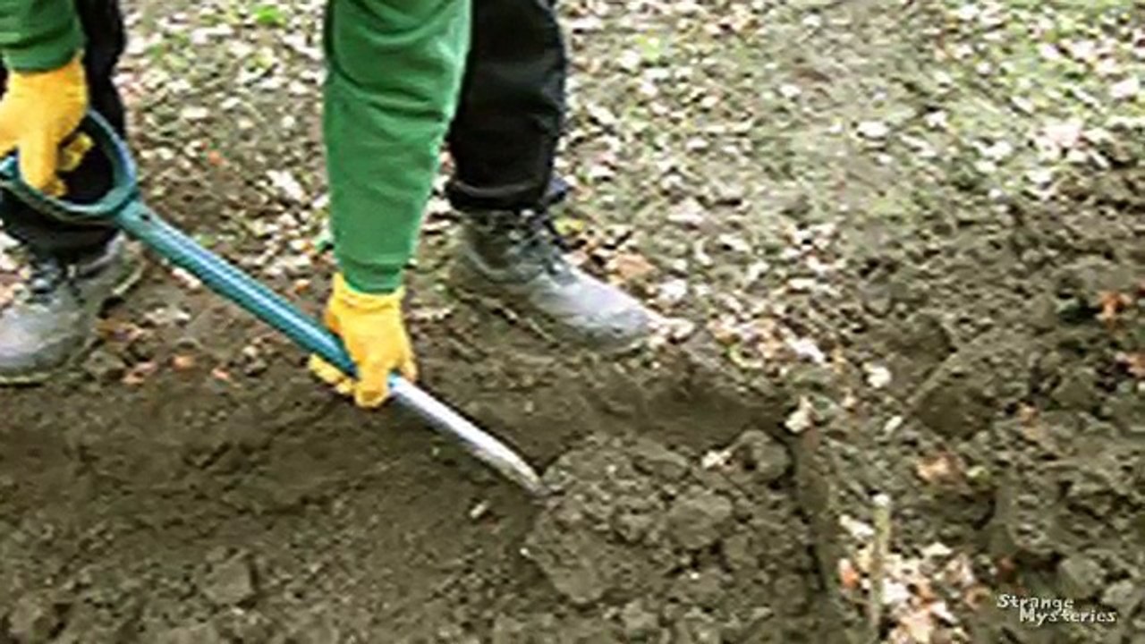 ele com 3 anos sabia como tinha morrida