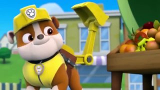 Animation Movies For Kids ♧ Pups Save a Super Pup ♧ Pups Save Ryders Robot-MJowiNCvRKU 44