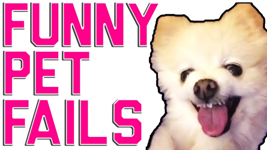 Failarmy animals 2021 hot sale