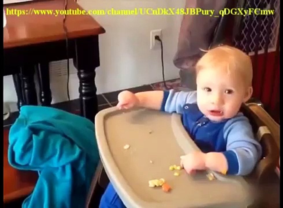 Funny-Cats---Funny-Kitty-Cat-Videos-Compilation---Cute-Kittens-Fail-Video-37------37