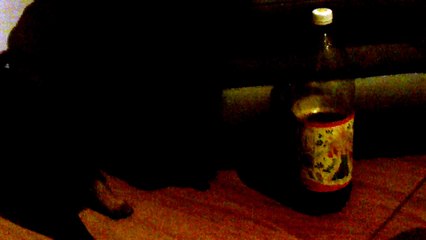 Stella may 2016 playing with a Kofola bottle