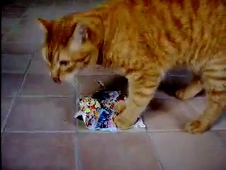 Titeuf déchire papier 1