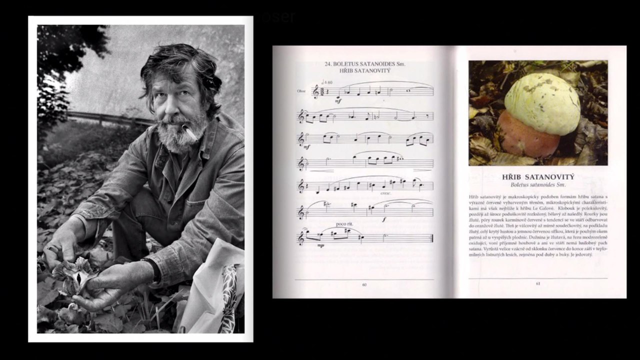 Meet the Mushroom Composer