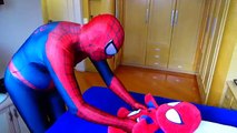 Spiderman, Pink Spidergirl & Spiderbaby - Spiderbaby Pees on Spiderman Face - Superhero in Real Life